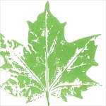 냅킨아트 33564 Maple leaf green  냅킨20매 33x33cm 1113