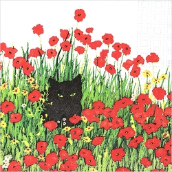 냅킨아트 1332807 Black Cat Poppies 냅킨20매 33x33cm 2469