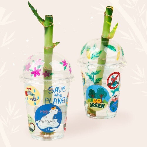 (MS) 지구 사랑 개운죽 키우기