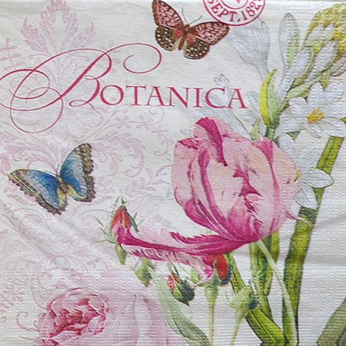 냅킨아트 1331184 Botanica 냅킨20매 33x33cm 0033