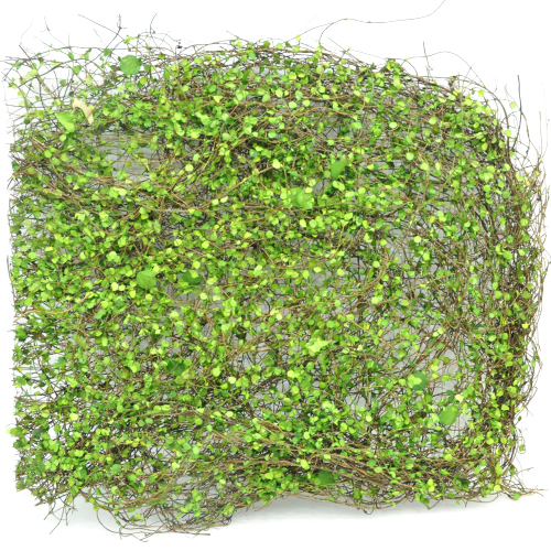 미니어처용 넝쿨 잎사귀 45x50cm