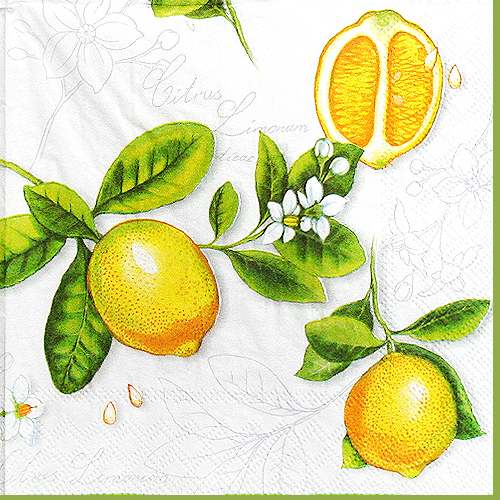 냅킨아트 13306290 Citrus Limonum 냅킨20매 33x33cm 1115