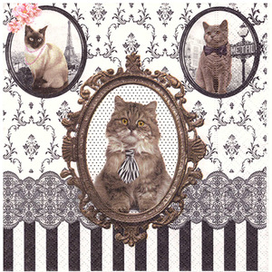 냅킨아트 R0414 CATS Barocco Cats 냅킨20매 33x33cm 0204