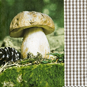 냅킨아트 21487 Let is go mushrooming 냅킨20매 33x33cm 0576